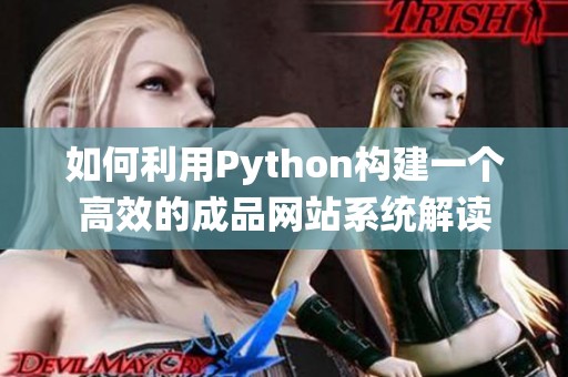 如何利用Python构建一个高效的成品网站系统解读