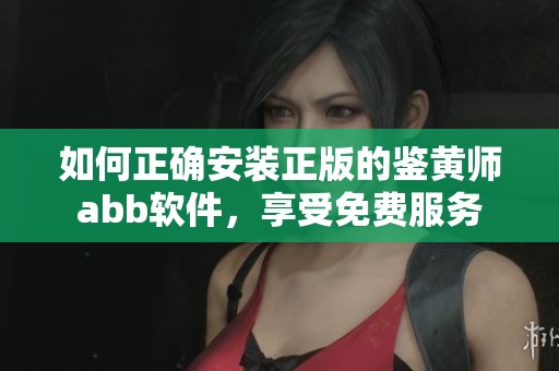 如何正确安装正版的鉴黄师abb软件，享受免费服务