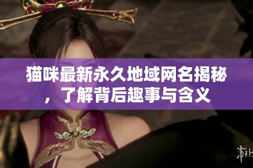猫咪最新永久地域网名揭秘，了解背后趣事与含义