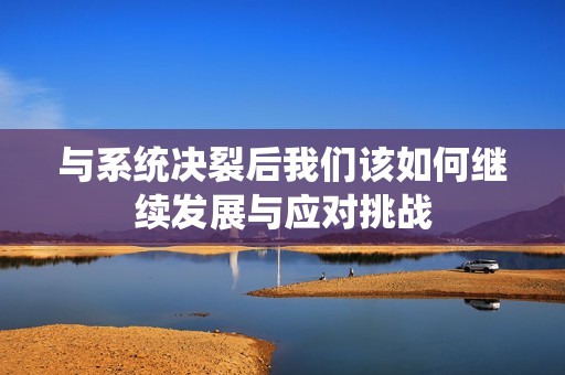 与系统决裂后我们该如何继续发展与应对挑战