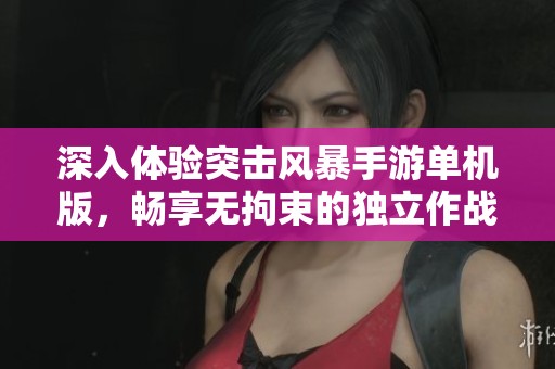 深入体验突击风暴手游单机版，畅享无拘束的独立作战乐趣