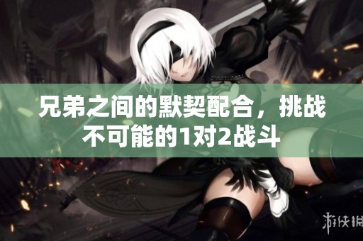 兄弟之间的默契配合，挑战不可能的1对2战斗