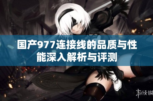 国产977连接线的品质与性能深入解析与评测