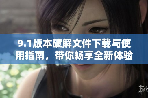 9.1版本破解文件下载与使用指南，带你畅享全新体验