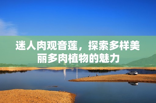 迷人肉观音莲，探索多样美丽多肉植物的魅力