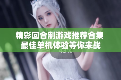 精彩回合制游戏推荐合集 最佳单机体验等你来战