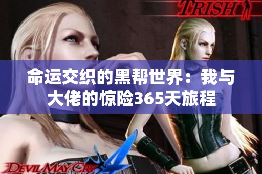 命运交织的黑帮世界：我与大佬的惊险365天旅程