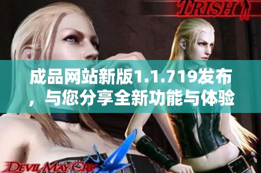 成品网站新版1.1.719发布，与您分享全新功能与体验