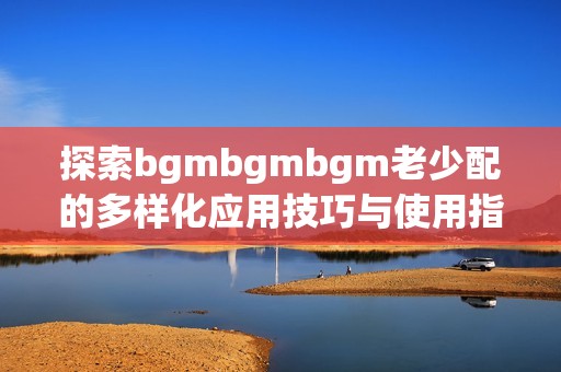 探索bgmbgmbgm老少配的多样化应用技巧与使用指南