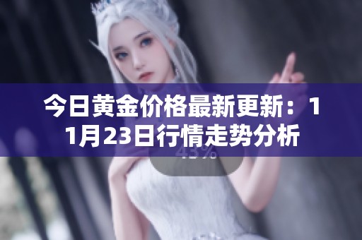 今日黄金价格最新更新：11月23日行情走势分析