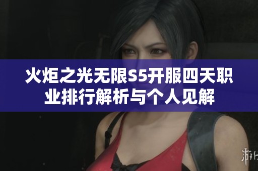 火炬之光无限S5开服四天职业排行解析与个人见解