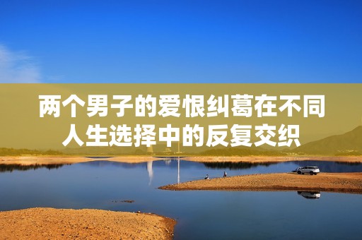 两个男子的爱恨纠葛在不同人生选择中的反复交织