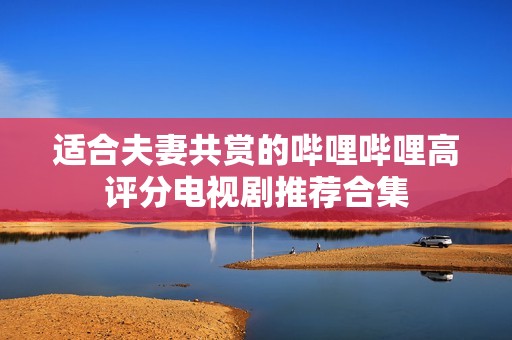 适合夫妻共赏的哔哩哔哩高评分电视剧推荐合集