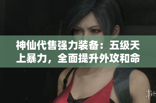 神仙代售强力装备：五级天上暴力，全面提升外攻和命中！