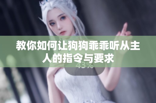 教你如何让狗狗乖乖听从主人的指令与要求