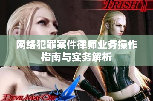 网络犯罪案件律师业务操作指南与实务解析