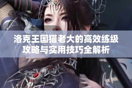 洛克王国猫老大的高效练级攻略与实用技巧全解析