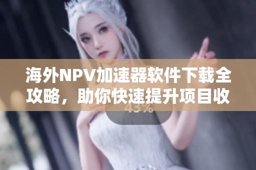 海外NPV加速器软件下载全攻略，助你快速提升项目收益