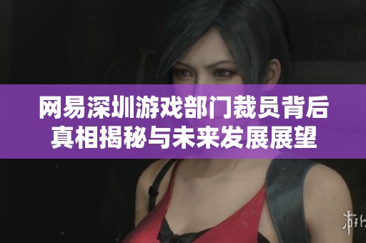 网易深圳游戏部门裁员背后真相揭秘与未来发展展望