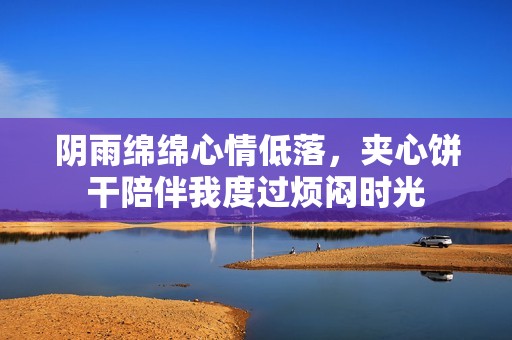 阴雨绵绵心情低落，夹心饼干陪伴我度过烦闷时光