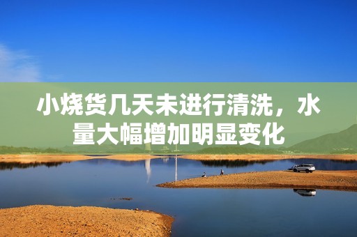 小烧货几天未进行清洗，水量大幅增加明显变化