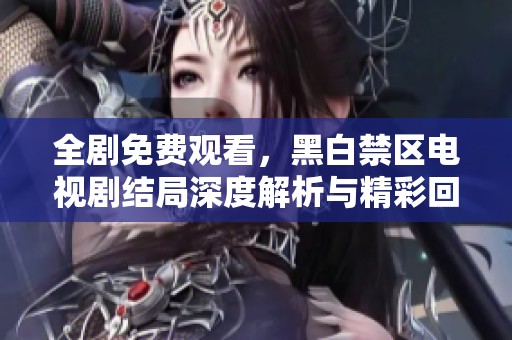 全剧免费观看，黑白禁区电视剧结局深度解析与精彩回顾