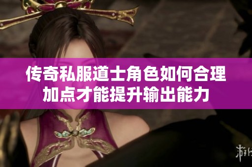 传奇私服道士角色如何合理加点才能提升输出能力