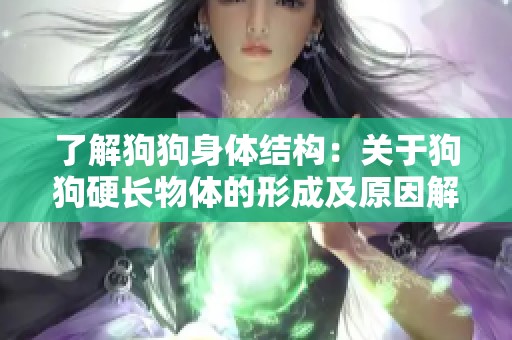 了解狗狗身体结构：关于狗狗硬长物体的形成及原因解析