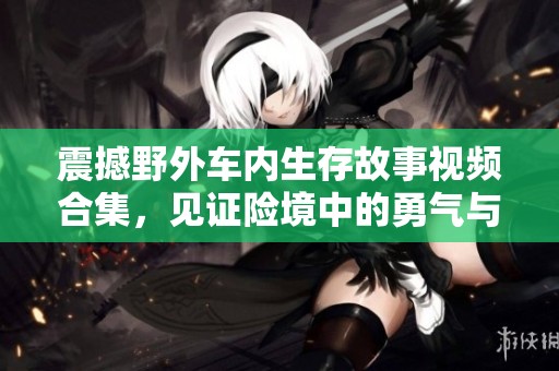 震撼野外车内生存故事视频合集，见证险境中的勇气与智慧