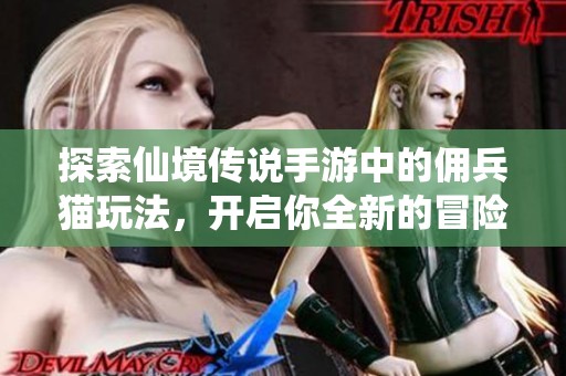 探索仙境传说手游中的佣兵猫玩法，开启你全新的冒险旅程吧！