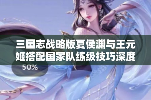 三国志战略版夏侯渊与王元姬搭配国家队练级技巧深度解析与实战经验分享