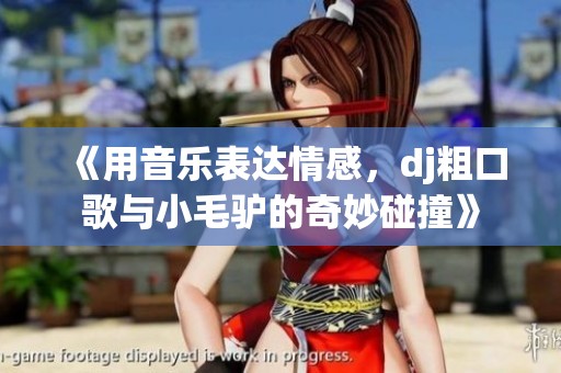 《用音乐表达情感，dj粗口歌与小毛驴的奇妙碰撞》