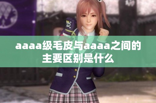 aaaa级毛皮与aaaa之间的主要区别是什么