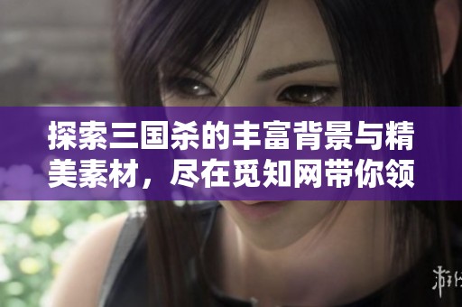 探索三国杀的丰富背景与精美素材，尽在觅知网带你领略三国故事的魅力与奇幻