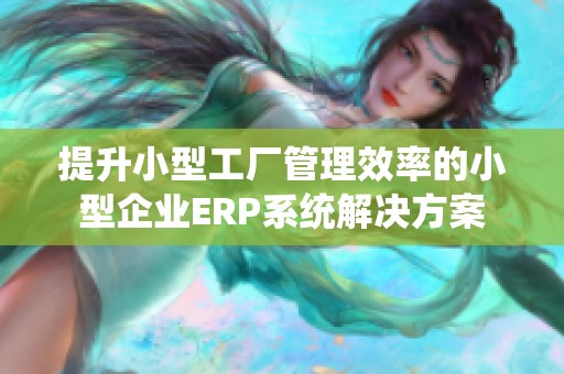 提升小型工厂管理效率的小型企业ERP系统解决方案