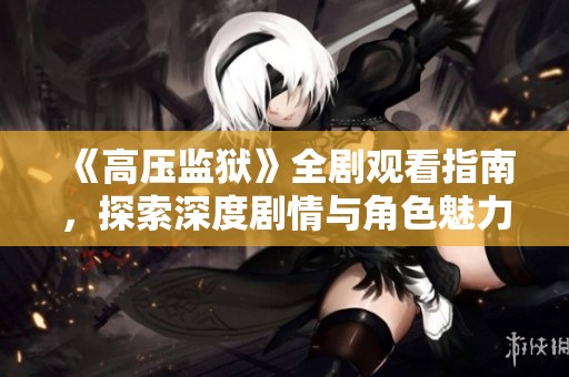 《高压监狱》全剧观看指南，探索深度剧情与角色魅力