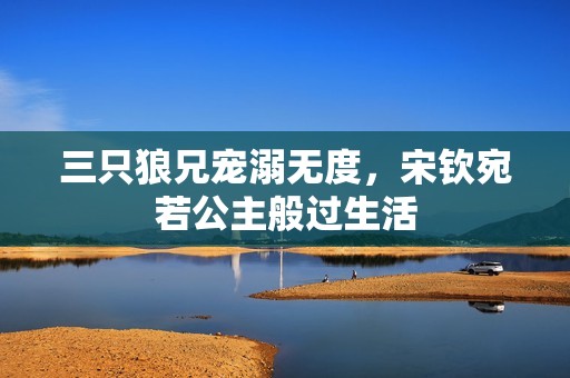 三只狼兄宠溺无度，宋钦宛若公主般过生活