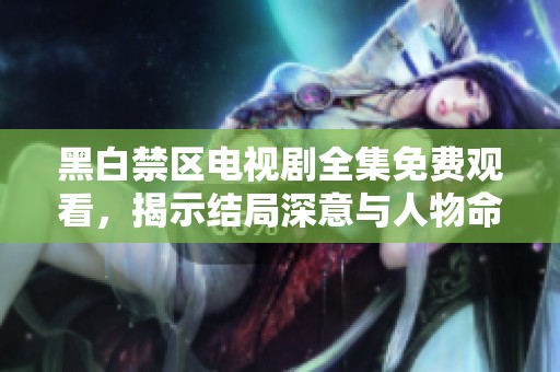 黑白禁区电视剧全集免费观看，揭示结局深意与人物命运