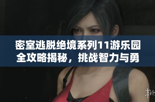 密室逃脱绝境系列11游乐园全攻略揭秘，挑战智力与勇气的完美结合