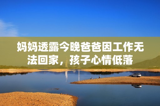 妈妈透露今晚爸爸因工作无法回家，孩子心情低落