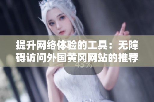 提升网络体验的工具：无障碍访问外国黄冈网站的推荐软件