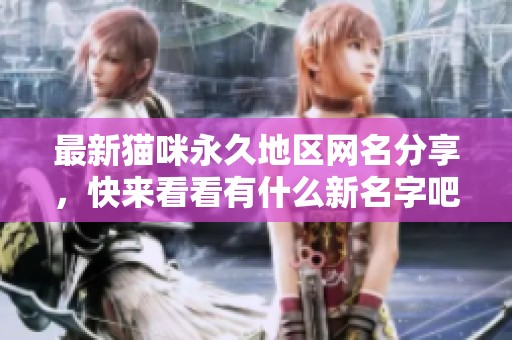 最新猫咪永久地区网名分享，快来看看有什么新名字吧！