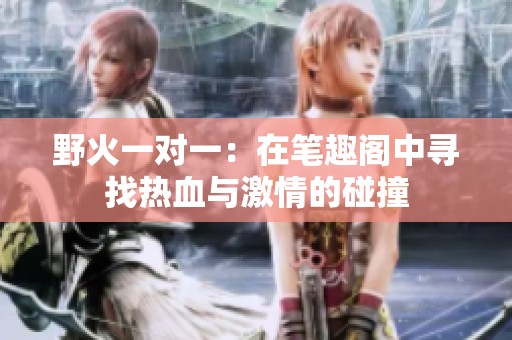 野火一对一：在笔趣阁中寻找热血与激情的碰撞