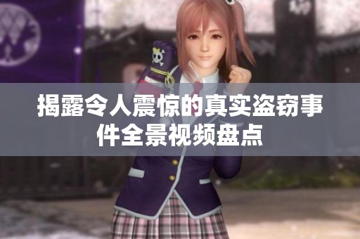 揭露令人震惊的真实盗窃事件全景视频盘点