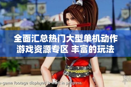 全面汇总热门大型单机动作游戏资源专区 丰富的玩法与冒险等你来探索