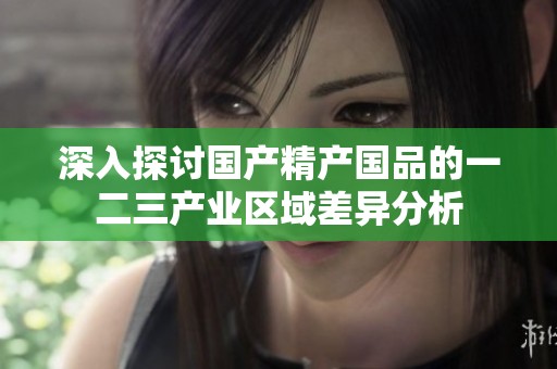 深入探讨国产精产国品的一二三产业区域差异分析