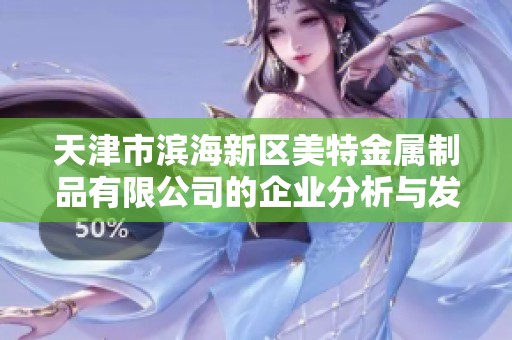 天津市滨海新区美特金属制品有限公司的企业分析与发展前景探讨