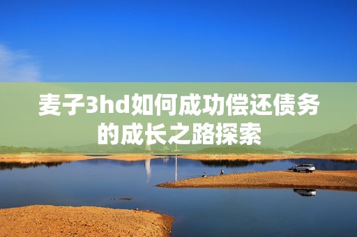 麦子3hd如何成功偿还债务的成长之路探索