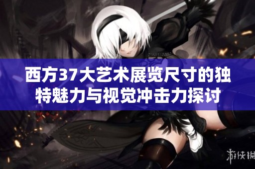 西方37大艺术展览尺寸的独特魅力与视觉冲击力探讨
