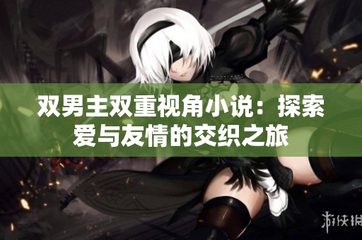 双男主双重视角小说：探索爱与友情的交织之旅